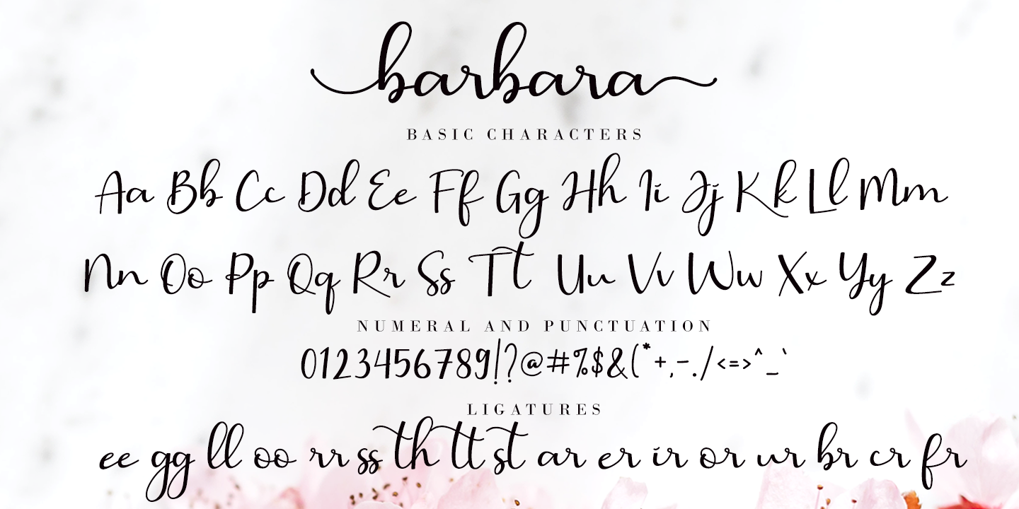 Przykład czcionki Barbara Calligraphy Regular